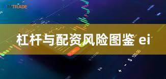 杠杆与配资风险图鉴 ei