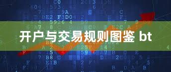 开户与交易规则图鉴 bt