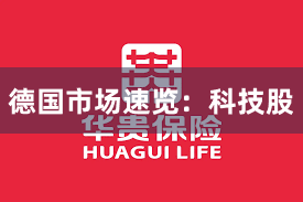 德国市场速览：科技股